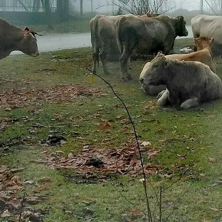 Prázdninový dům Sweet Neraïdochóri